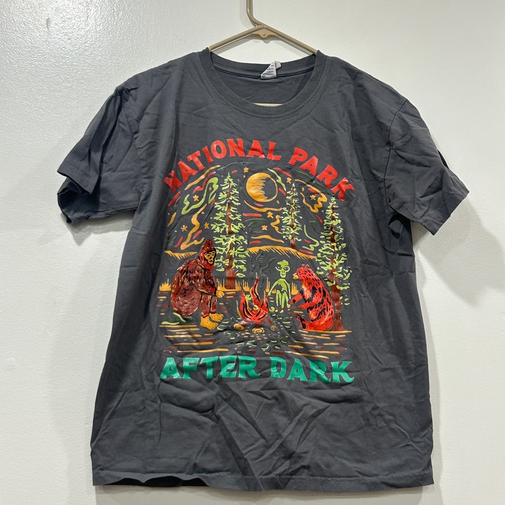 National Park After Dark Graphic T-Shirt - Gray